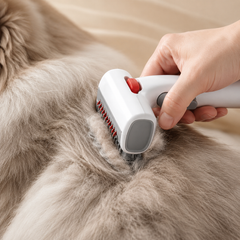 Brosse Anti-Poils